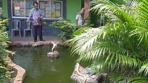 Maybe you would like to learn more about one of these? Kalselpedia Mengenal Smpn 7 Banjarmasin Lingkungan Asri Dihias Hijau Tanaman Dan Kolam Ikan Banjarmasin Post