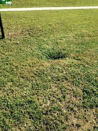 hole in lawn near septic tank. diy