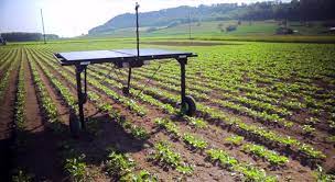 China leading provider of agricultural herbicides and pest control insecticide, averstar industrial co., ltd. Ai Machines Like Ecorobotix Will Reduce Demand For Herbicides And Pesticides Blueberries Consulting