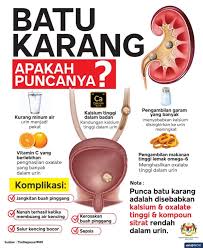Selain itu bawang merah juga dipercaya dapat menjadi obat bagi penderita batu ginjal. Kementerian Kesihatan Malaysia Batu Karang Terbentuk Disebabkan Oleh 2 Keadaan Iaitu Air Kencing Pekat Yang Kebiasaannya Seseorang Kurang Minum Air Dan Mendapan Mudah Terbentuk Selain Itu Adalah Kerana Kalsium Yang Terenap Kalsium