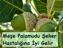 Pin On Saglik