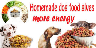 healthy homemade dog food recipe