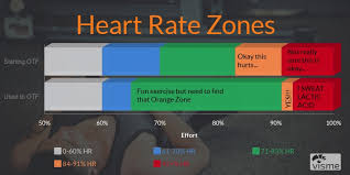 before after heart rate zone chart orangetheory