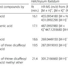Image result for Helichrysum mechowianum
