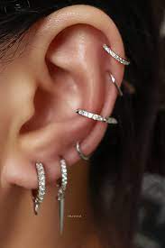 glitter crystal pave eternity hinged segment hoop ring clicker celebrity ear piercings ear piercings earings piercings