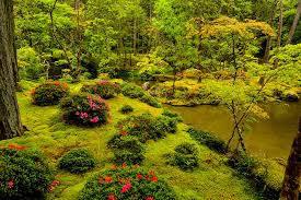 Neben vielen originalgetreuen details wurde auch versucht die formensprache der gartenbaukunst in japan und china in die pflanzenwelt unserer klimazone zu ubersetzen. Asiatische Gartenkunst Der Geist Des Ortes