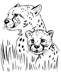Free Printable Cheetah Coloring Pages For Kids Coloring Pictures Of Animals Animal Coloring Pages Animal Coloring Books