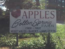 In addition to 40 acres of organic vegetables. Bolton Spring Farm Home Facebook
