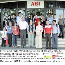 Chun keat does research in fish nutrition. In Situ Hybridization A Course On Fish And Chip Molecular Cytogenetics And Genome Evolution