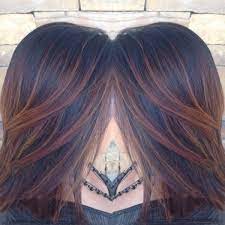 Pin By Lauramichellebeauty Wendt On Laura Michelle Beauty Hair Styles Black Hair Balayage Trendy Hair Color