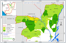 Image result for Trachyphrynium braunianum