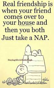 To that end, we've collected, in one place, some of the funniest things ever said about friendship. 30 Best Friend Memes To Share With Your Bff On National Best Friends Day Best Friend Quotes Funny Friends Quotes Friends Quotes Funny