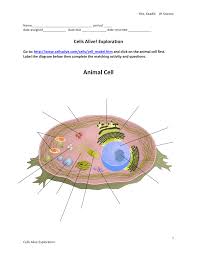 Terms in this set (13). Animal Cell Gwisd Esc2 Net