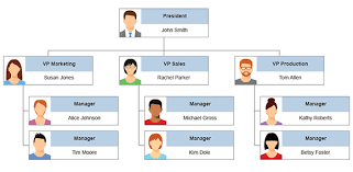 Four Types Of Organizational Charts Functional Top Down