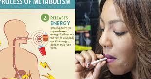 What Marijuana Does To Your Metabolism Attn