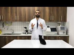 Kedi Genc Hastaligi Nedir Veteriner Hekim Pelin Cakar Youtube