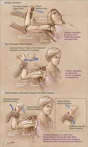 mail shirleyharmer hotmail com hand therapy fizyoterapi masaj terapisi