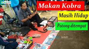 Check spelling or type a new query. Judi Bola Cap Jiki Pasuruan Jawa Timur By Era Pranata