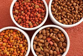 The Types of Dog Food & Their Benefits - Dog Boarding Near Me