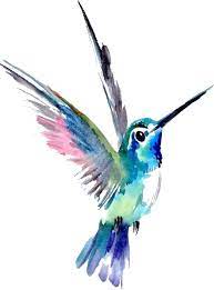 Watercolor Painting Art Hummingbird Drawing Hummingbird Tattoo Png Watercolor Png Down Hummingbird Tattoo Watercolor Hummingbird Drawing Hummingbird Painting