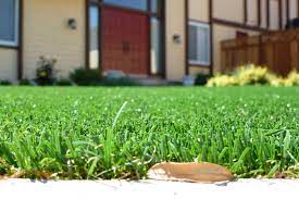 Turf Grass King Synthetic Turf Turf Grass Turf