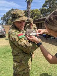 Preventative Medicine...