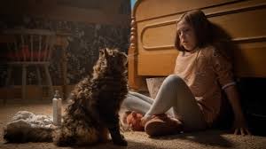 Der roman wurde durch den verlag doubleday 1983 unter dem originaltitel pet sematary veröffentlicht. Friedhof Der Kuscheltiere Im Kino Zombie Therapie Kultur Sz De