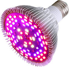 How long should a plant grow light be left on? Buy 50w Led Grow Light Bulb Led Plant Bulb Full Spectrum Grow Lights For Indoor Plants Vegetables And Seedlings Led Plant Light Bulb For Hydroponics Indoor Garden Greenhouse And Organic Soil E26