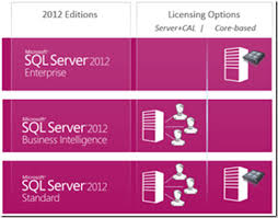 Licensing Logic Licensing Sql Server Everything You Need