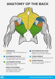 Check spelling or type a new query. Back Workouts For Women Build The Shape You Want