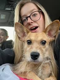 Pup found central and melrose