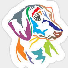 Check spelling or type a new query. Dachshund Dude Ranch Home Facebook