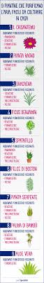 Assicurati che lo strato di pacciame sia completo, però. 9 Piante Che Purificano L Aria You Specialist
