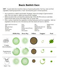 Basic Rabbit Care Handout And Infographic Lafebervet