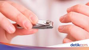 Posted by unknown at 10:33 am. Kapan Harus Potong Kuku Fakta Ini Mungkin Bisa Bantu Atur Waktu