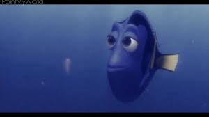 I shall call him squishy, and he shall be mine. Finding Nemo Squishy Youtube