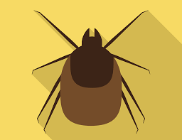 I've always been a target for mosquitos when i am outside (thus my obsession with natural bug spray recipes), but this year, it seems like there is a giant insect conspiracy to dive bomb and infiltrate every door of our. How To Treat Bug Bites Naturally Home Remedies You Need To Know