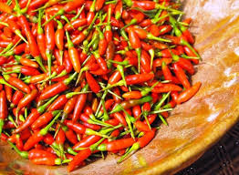 Pepper Seeds Siling Labuyo Filipino Bird S Eye Chili Very Rare Super Hot Stuffed Peppers Birds Eye Chili Pepper Seeds