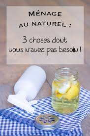Menage Au Naturel 1 3 Choses Dont Vous N Avez Pas Besoin Rhapsody In Green Menage Faire Le Menage Nettoyer Maison