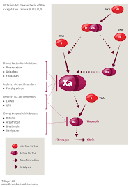 Anticoagulant Therapy Anticoagulation In Vte Patients