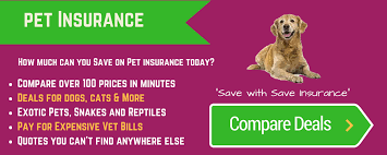 Your existing policy with us is provided and administered by our partner nci pet insurance. Compare Pet Insurance With Us Pet Owners Cndi