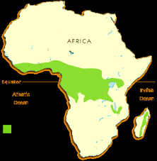Rainforests can be tropical, subtropical, and temperate forests. Pin On Drama 101