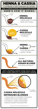 Infographics