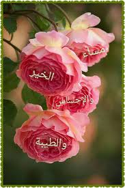 صور مساء الخير أجمل صور مساء الفل والياسمين والنور والعسل ويسعد مساكم Beautiful Roses Beautiful Flowers Flowers