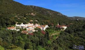 مدينة سبتوبال البرتغالية لشهر عسل رومانسي وهادئ تعتبر مدينة سبتوبال من أهم المدن في البرتغال بسبب طبيعتها الساحرة والعديد من ا Dolores Park Travel Egypt Today