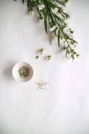 Low prices everyday, from $25.49. Bride On A Budget Diy Wedding Flowers For 20 Gardenista