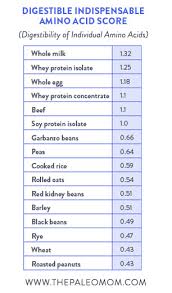 Plant Based Protein What Is Its Role In The Paleo Diet