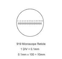 Regla de accesorios para microscopio 919, regla de escala de mm para  medición de diámetro, diapositiva de calibración de retícula ocular -  AliExpress