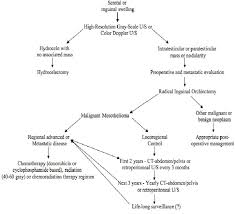 Malignant mesothelioma is a rare form of cancer typically caused by exposure to asbestos. An Evidence Based Algorithm For The Diagnosis Treatment And Follow Up Download Scientific Diagram