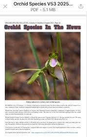 Image result for Indigofera monantha